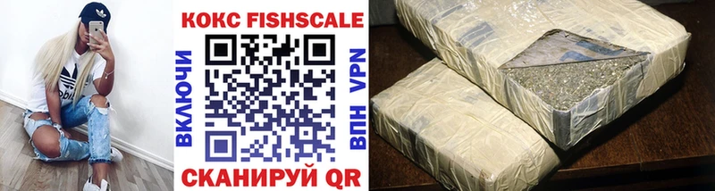 Cocaine Fish Scale  закладка  мега рабочий сайт  Новосибирск 