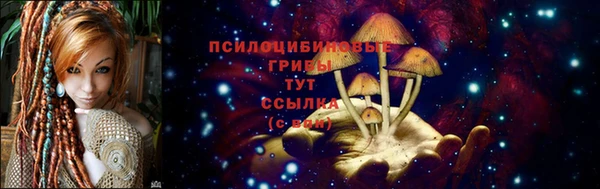 мдма Карпинск