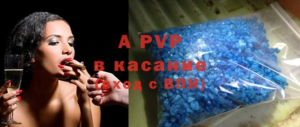 СК Каменка